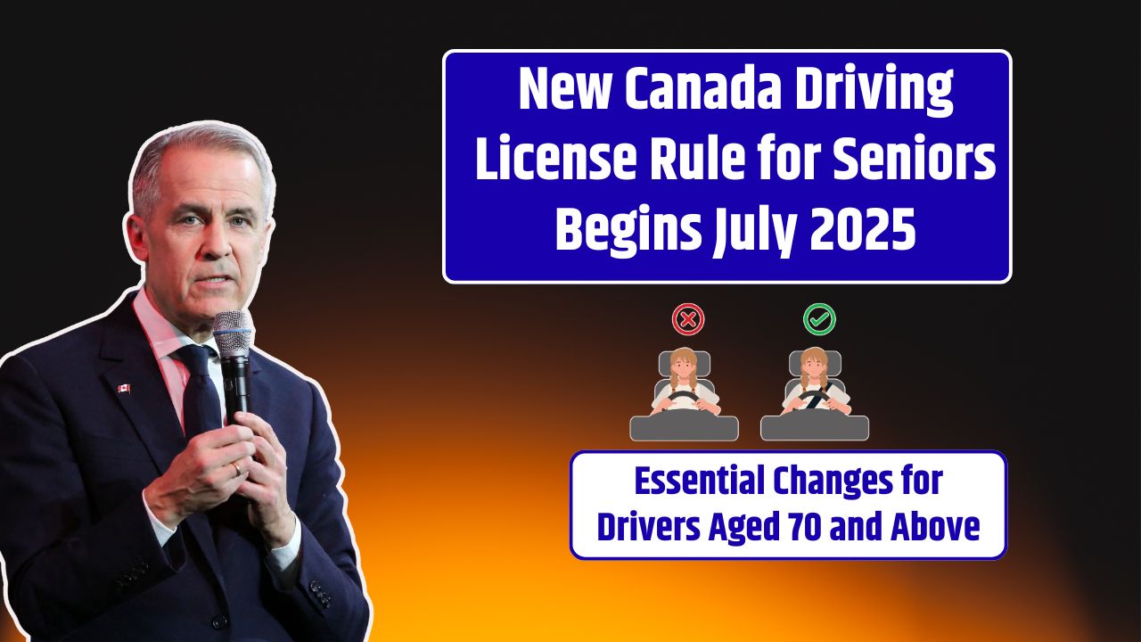 New Canada Driving License Rule for Seniors Begins July 2025