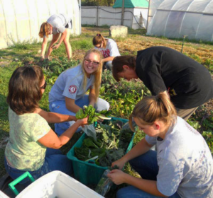 AmeriCorps members garden and weed together during a summer session