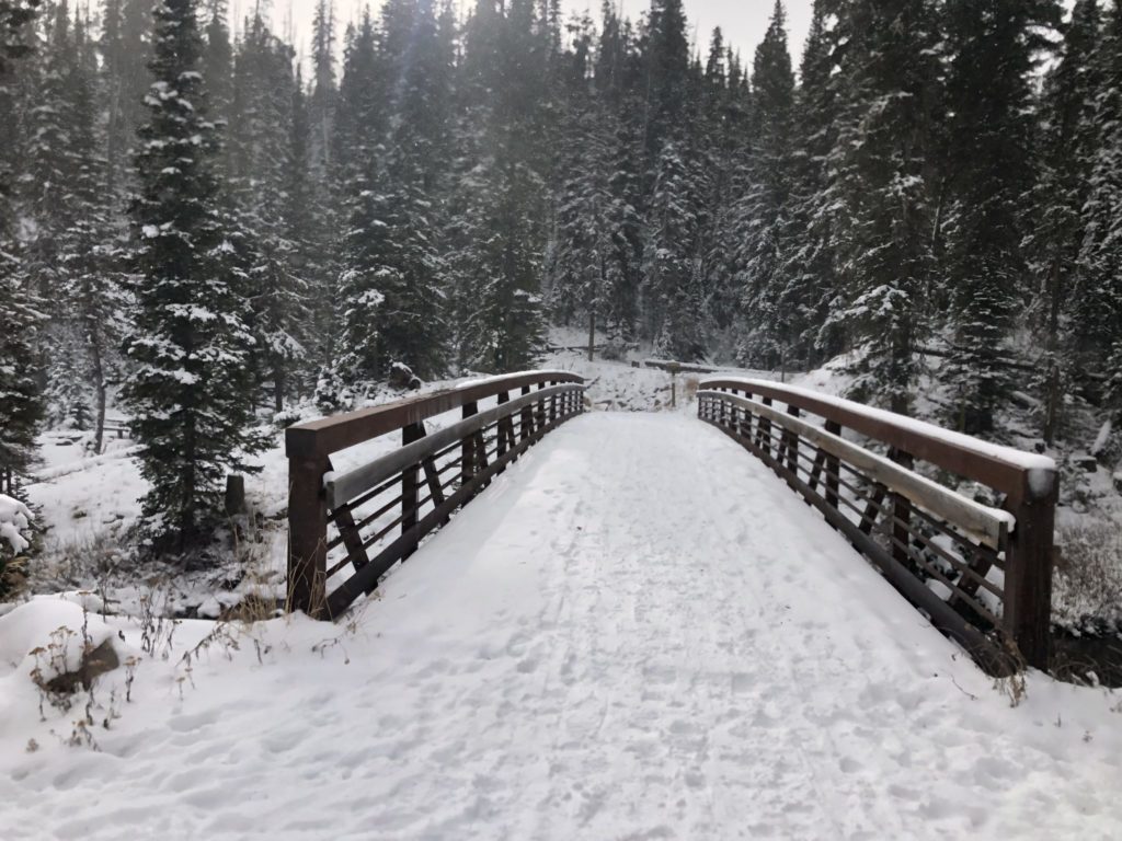 View of snow covered bridge in snowy forest