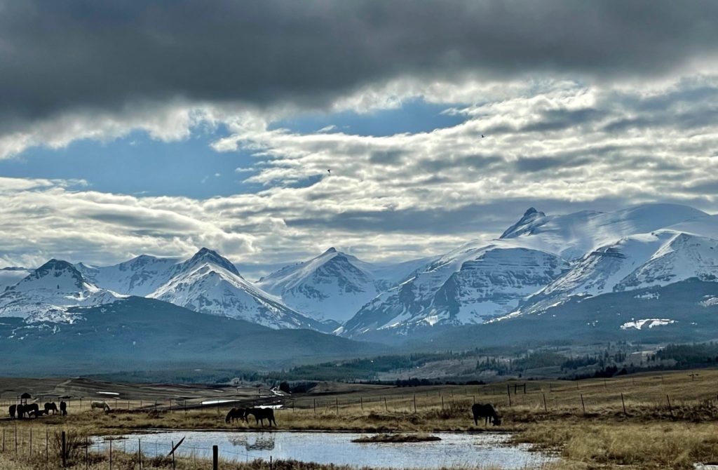 Springtime view of mountains on the Blackfeet Nation