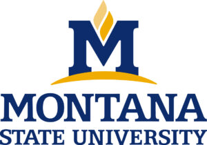 Montana State University logo.